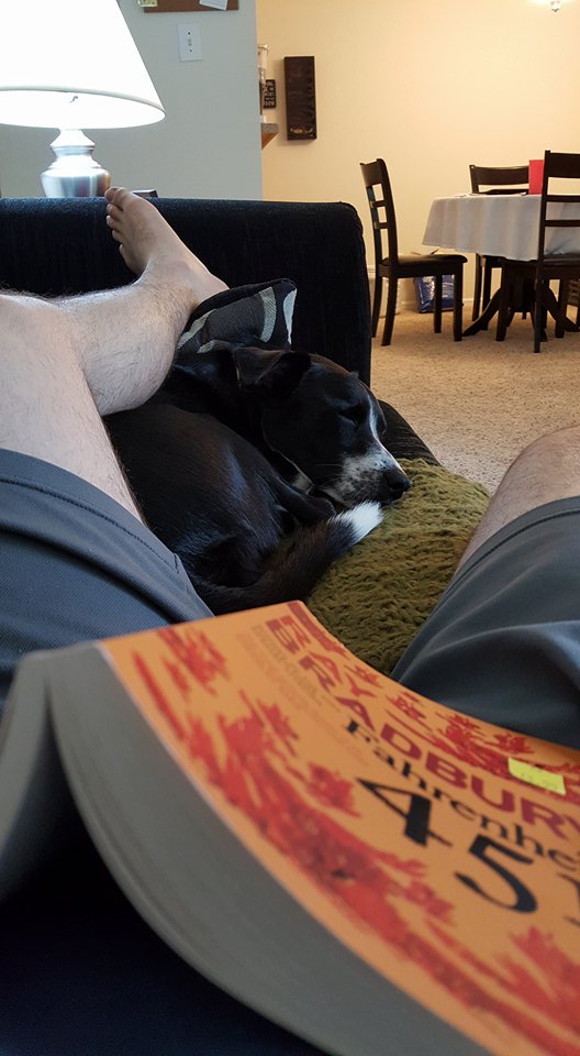 18871629_321464194951067_186248515_n