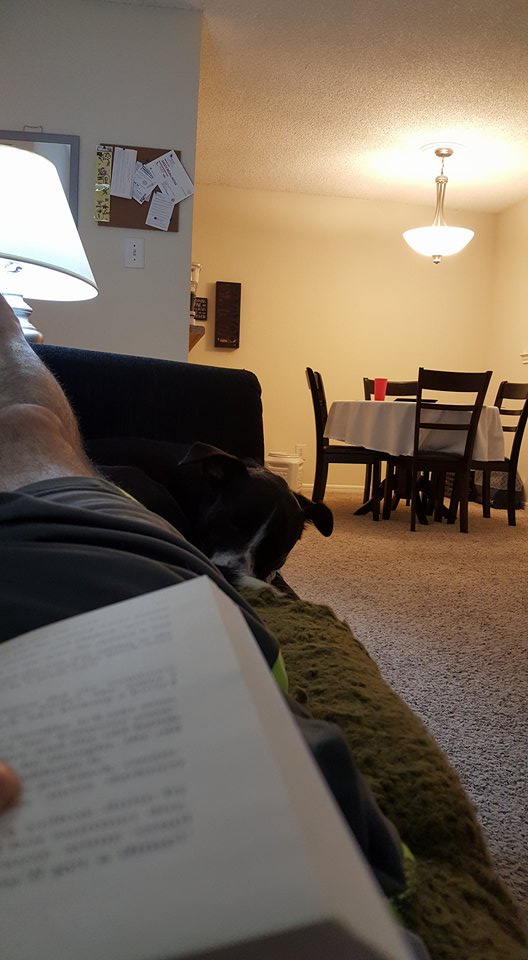 18928550_321464271617726_2008513567_n