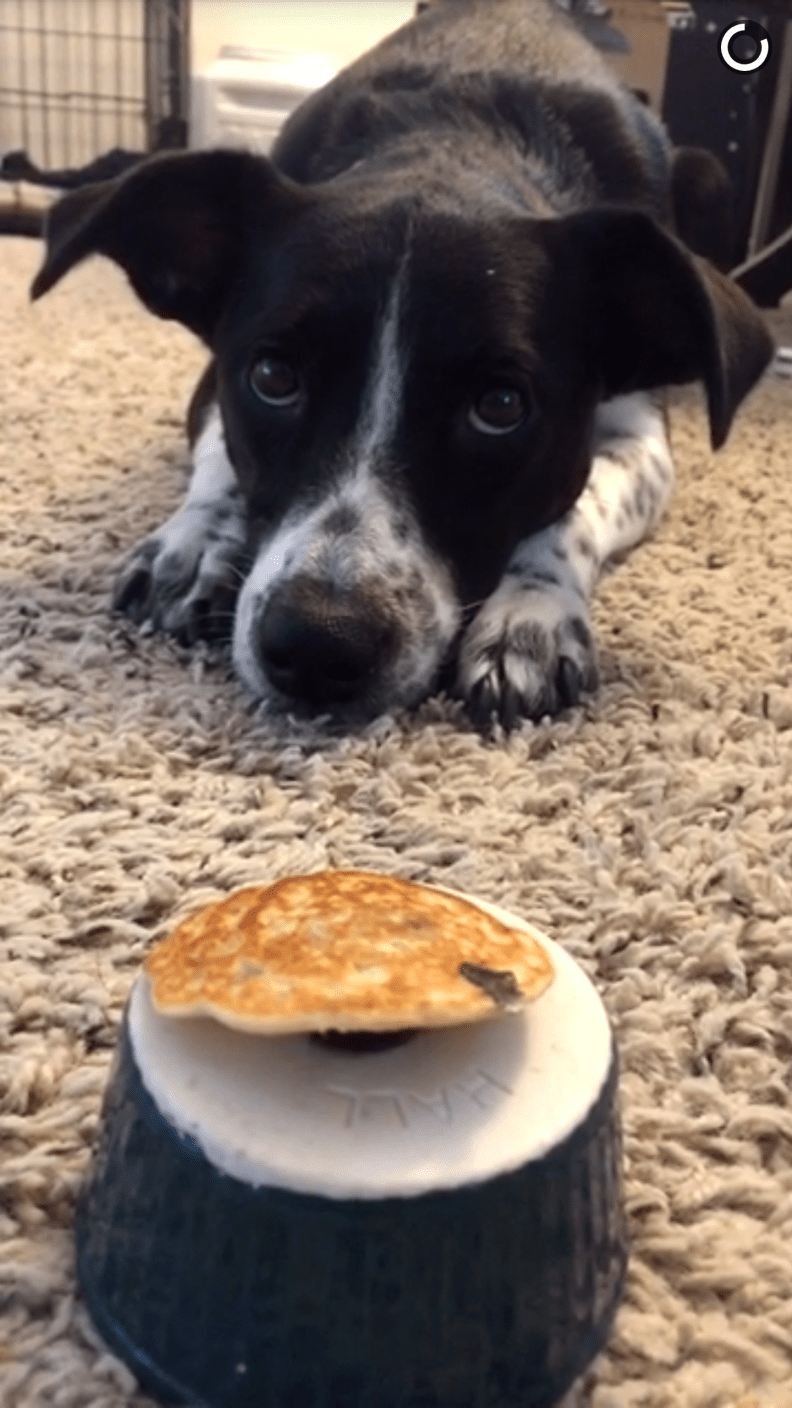 Screenshot_20170518-161054