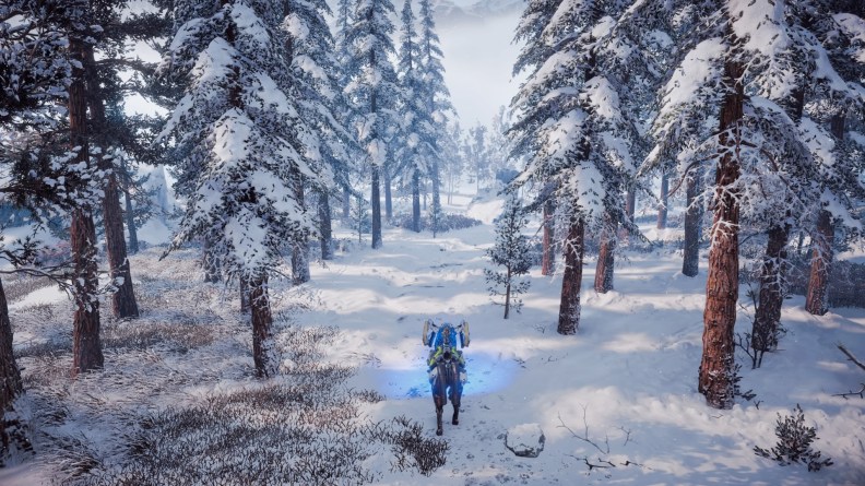 Horizon Zero Dawn™_20171118151347