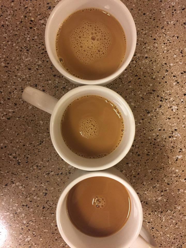 18902674_10210077832402688_699517356_n