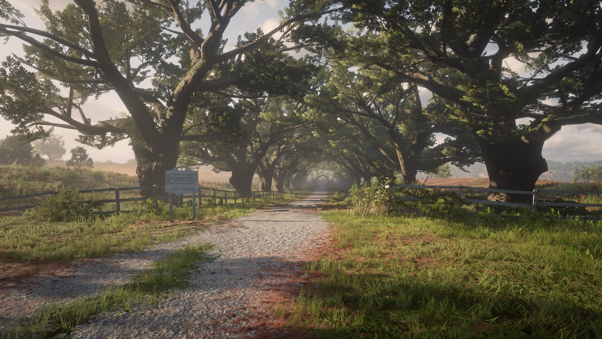 Red Dead Redemption 2_20181209013235