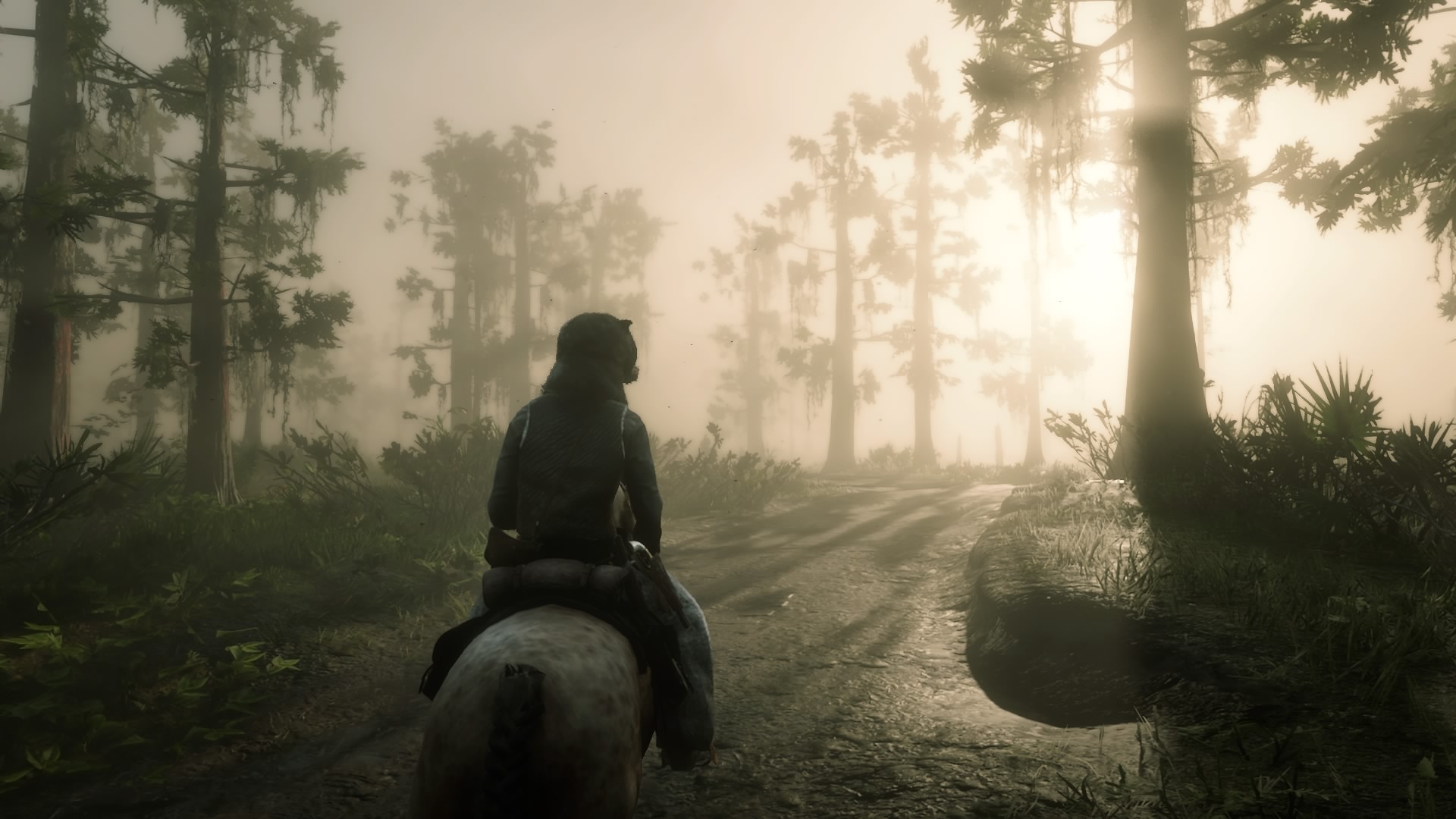 Red Dead Redemption 2_20181209105222