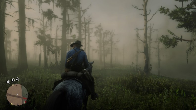 Red Dead Redemption 2_20181108231927