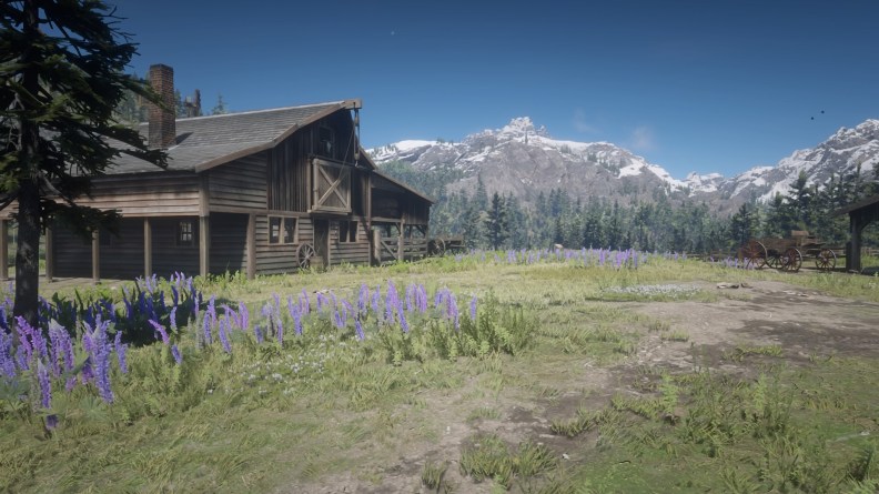 Red Dead Redemption 2_20181111194112