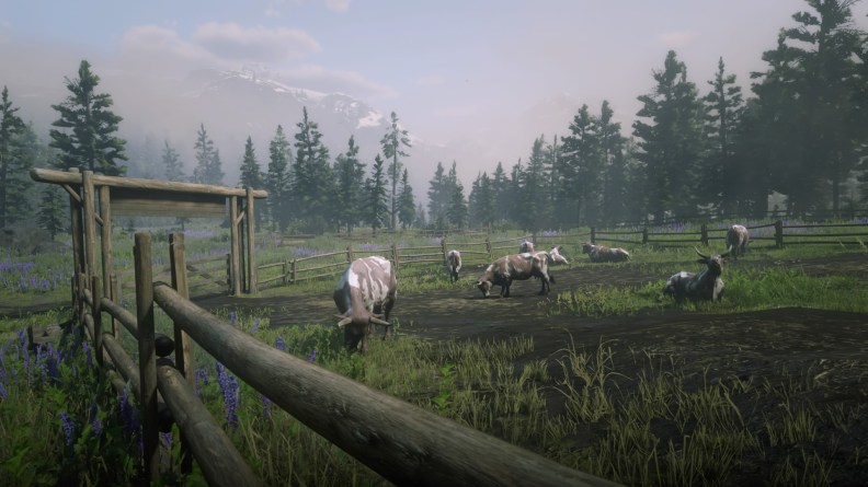 Red Dead Redemption 2_20181111201331