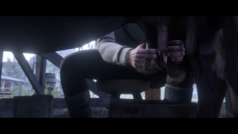 Red Dead Redemption 2_20181111201852