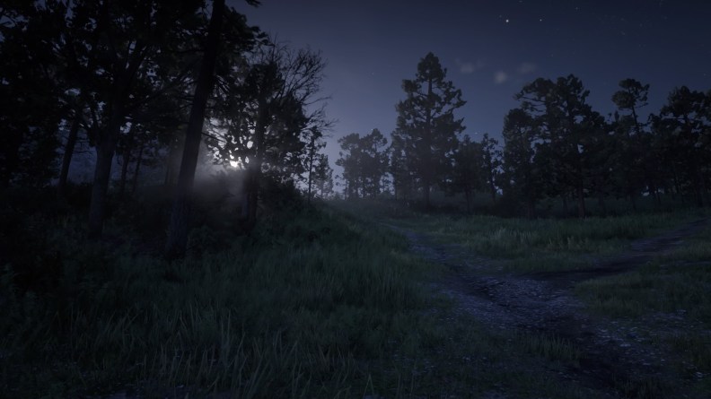 Red Dead Redemption 2_20181113203221