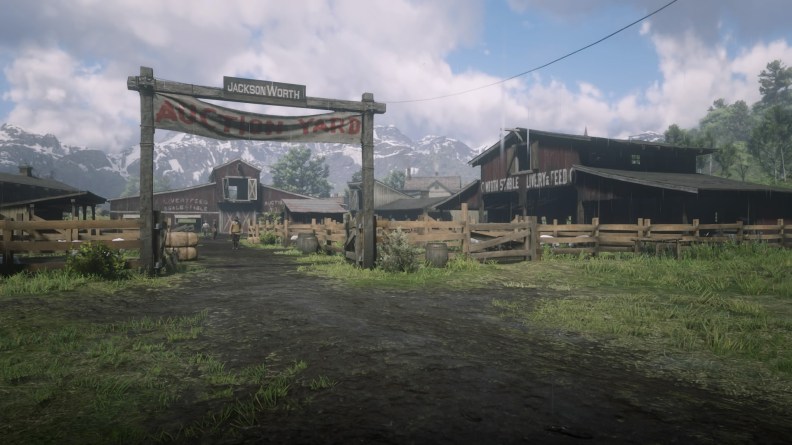 Red Dead Redemption 2_20181113203743