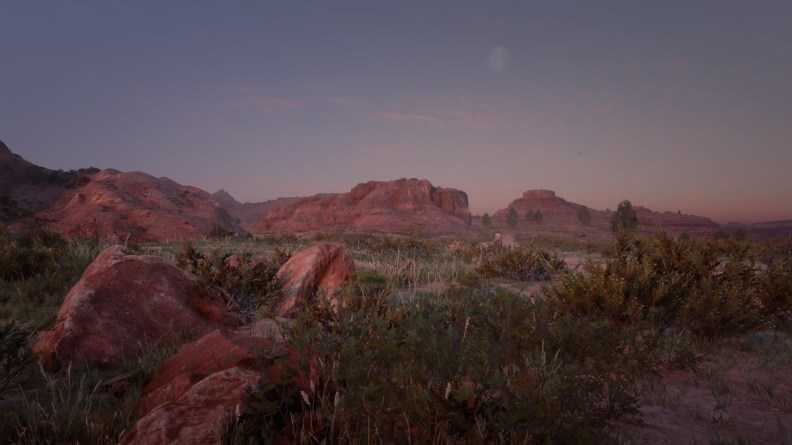 Red Dead Redemption 2_20181115155147